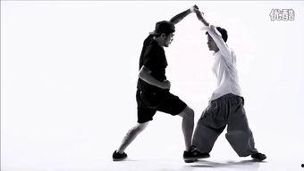 张龙八极拳教学视频,揭秘传统武术精髓与实战技巧